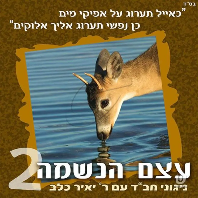 יאיר כלב - עצם הנשמה - 2