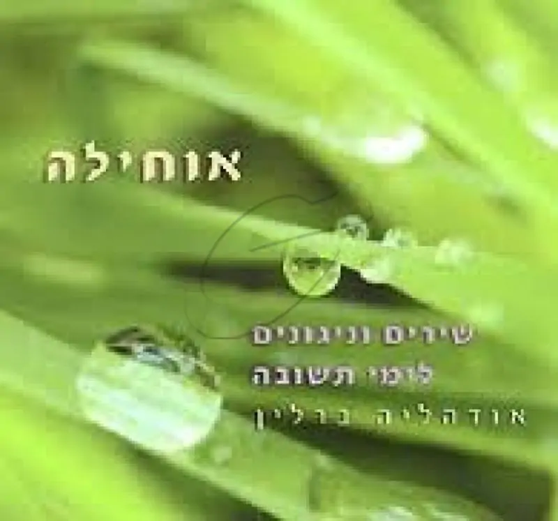 אודהליה ברלין - אוחילה