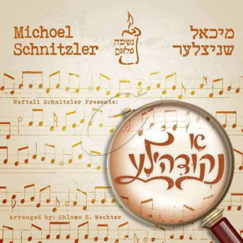 מיכאל שניצלער - א נקודה'לע