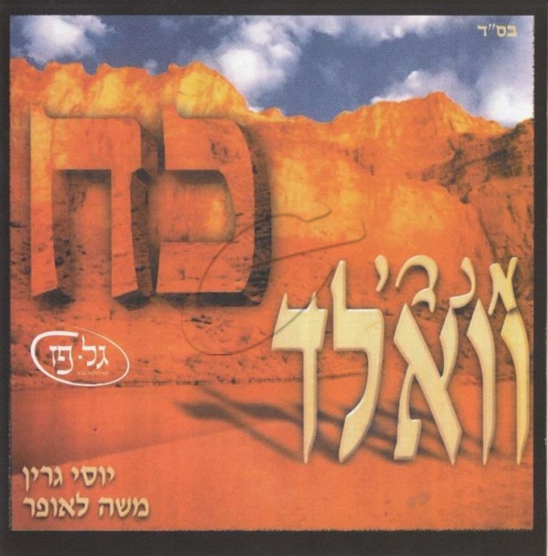 מנדי וואלד - כח