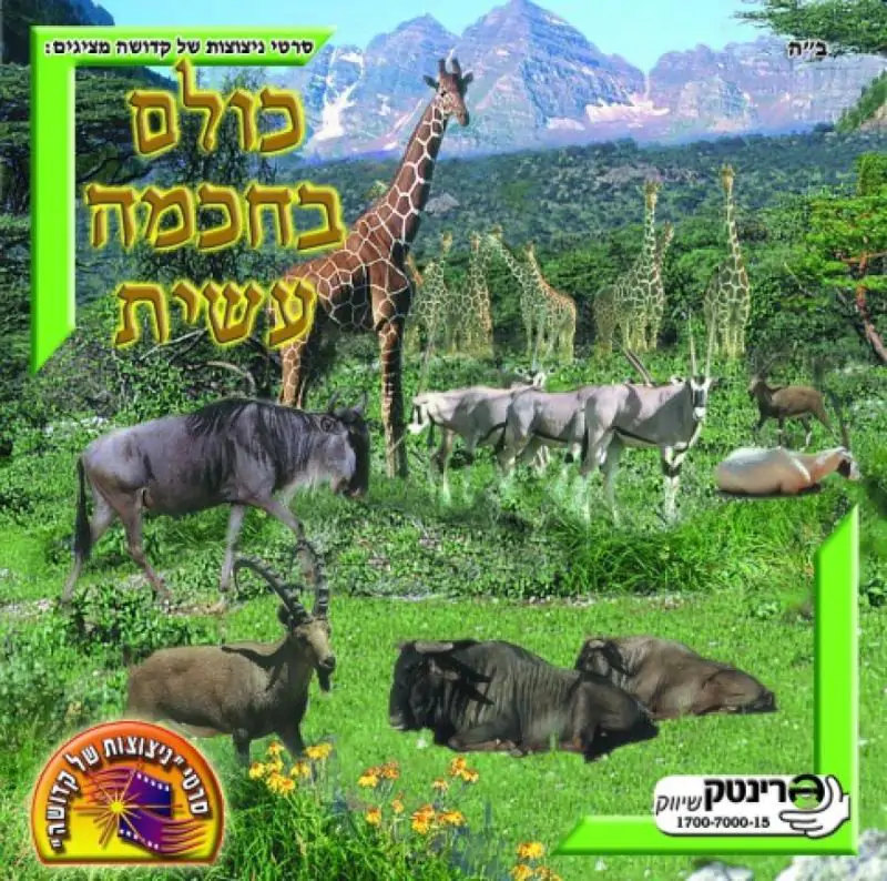 כולם בחכמה עשית - 2