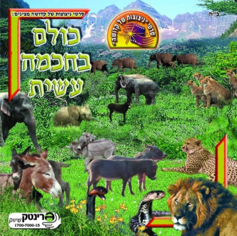 כולם בחכמה עשית - 3