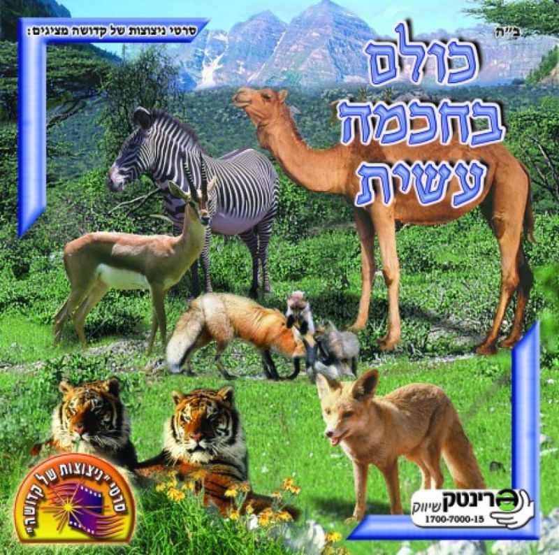 כולם בחכמה עשית - 4