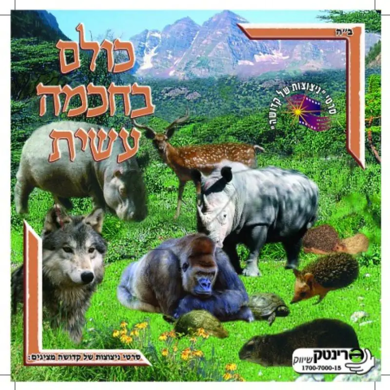 כולם בחכמה עשית - 5