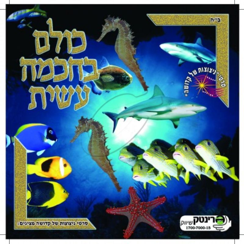 כולם בחכמה עשית - 6