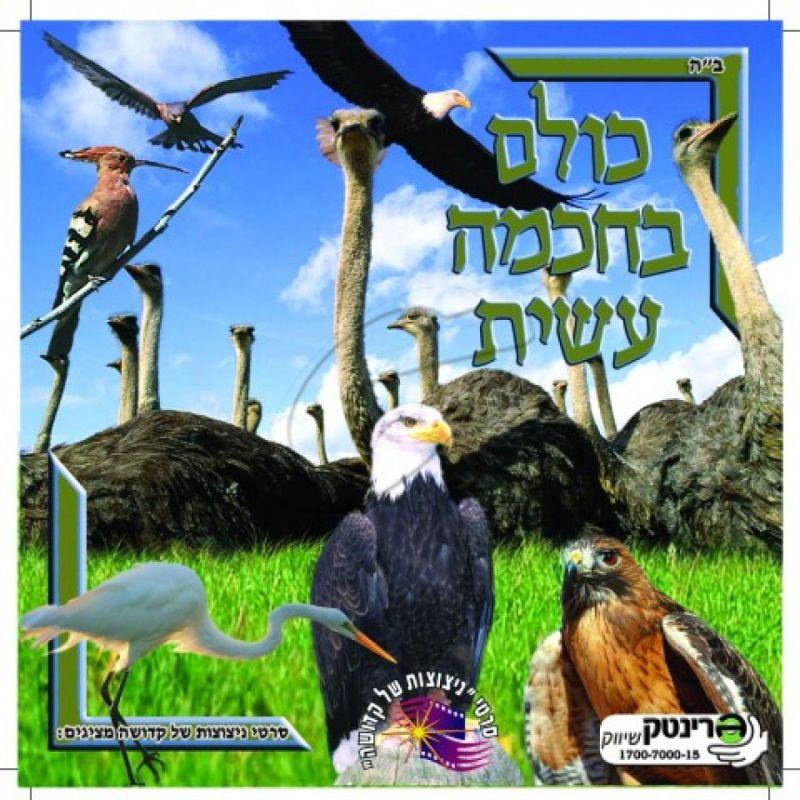 כולם בחכמה עשית - 7