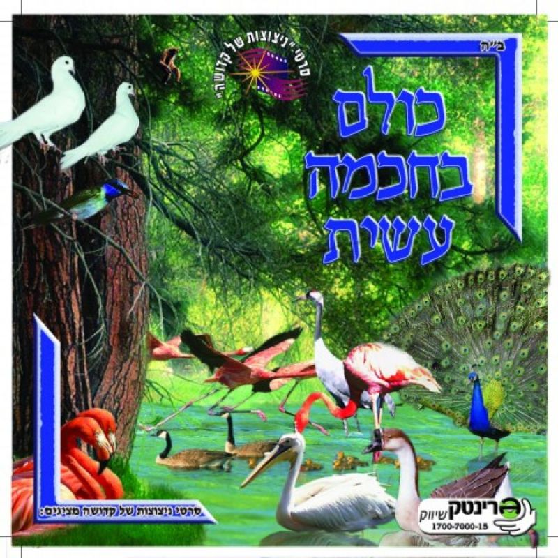 כולם בחכמה עשית - 8