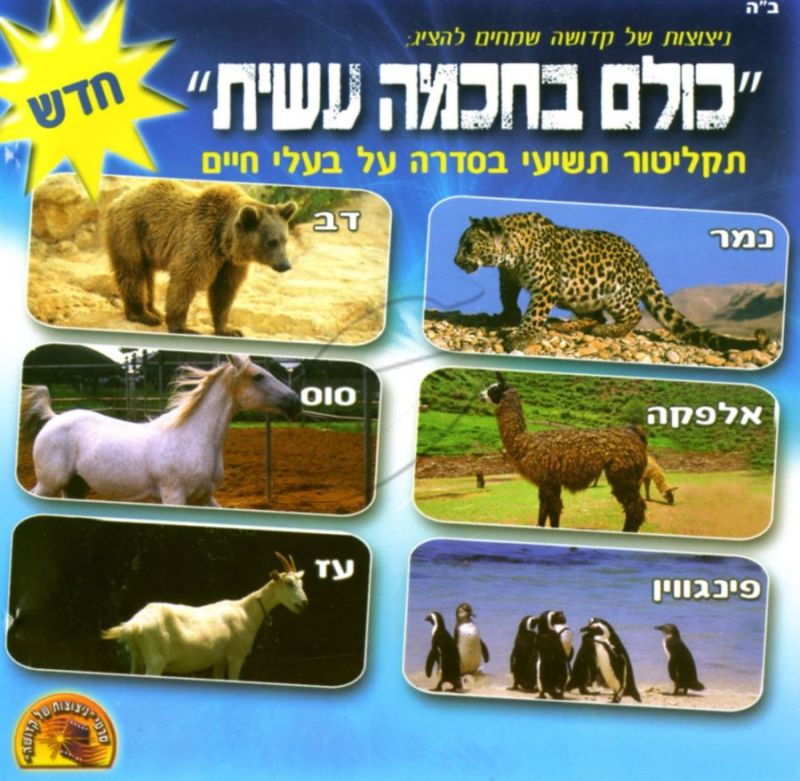 כולם בחכמה עשית - 9