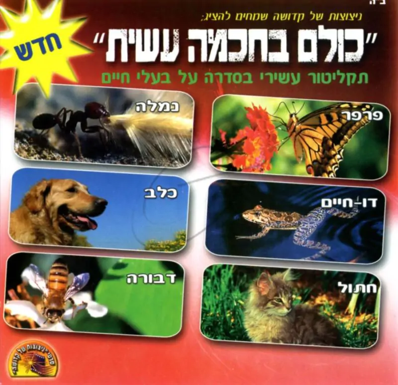 כולם בחכמה עשית - 10