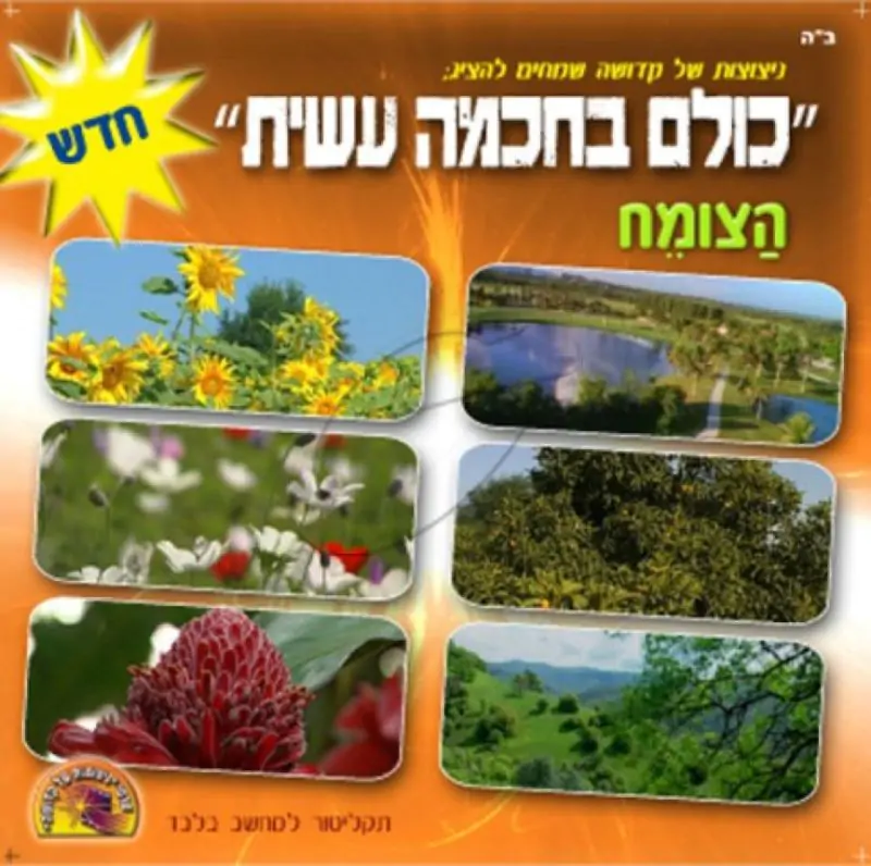 כולם בחכמה עשית - 12