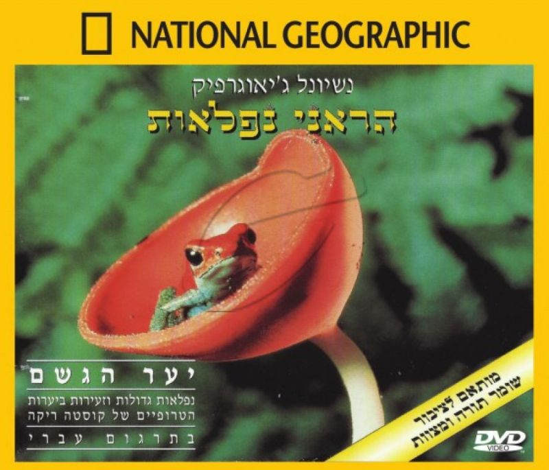 יער הגשם