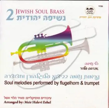 מאיר הלוי אשל - נשיפה יהודית - 2