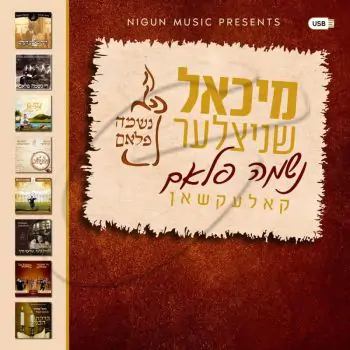 מיכאל שניצלער - נשמה פלאם קאלעקשאן USB