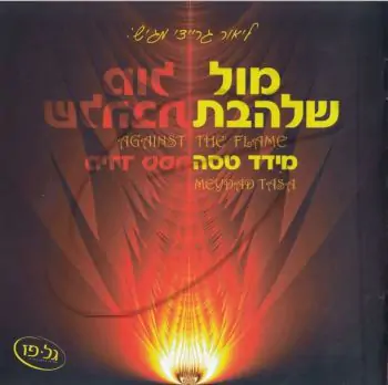 מידד טסה - מול שלהבת
