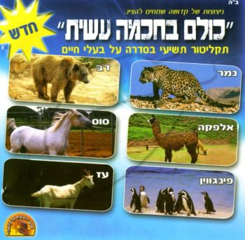 כולם בחכמה עשית - 9