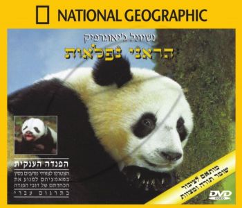 הפנדה הענקית