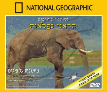 מחשבות על פילים