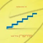 שמילי אונגר-מדריגות