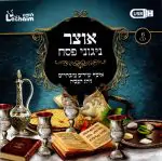 אוצר ניגוני פסח USB